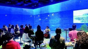 체험 강화 문화센터 강좌 개설