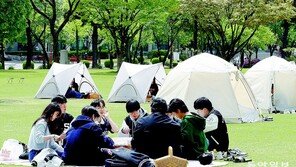 캠퍼스에 찾아온 봄 