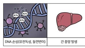 탄 고기가 맛을 극대화한다?…의료계 “암 유발, 잘라내야”