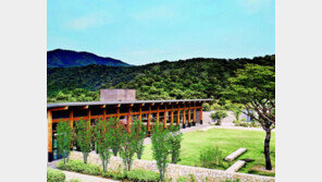 48년 전통 장례 문화의 명가… VR 서비스로 온라인 추모 문화 이끈다