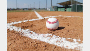 “장비 차세요”… 美 난동 부모에 야구 심판 맡겨