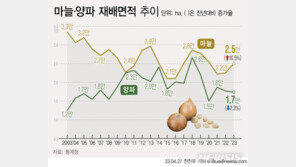마늘, 10년來 최고가…가격 강세에 재배면적 5년 만에 최대↑