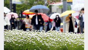 [날씨]내일부터 모레까지 최대 60㎜ 비 소식…5월초 맑다가 수요일께 다시 비