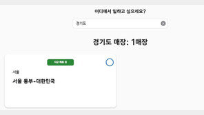 애플스토어 국내 7호점 준비…판교 노리나