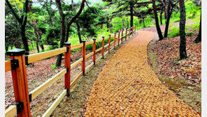 새단장 ‘계양근린공원’ 5년 만에 시민품으로