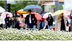 ‘우산 챙기세요’…내일부터 모레까지 최대 60㎜ 비 소식