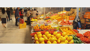 “봄 내음 가득 제철 과일-나물 둘러보세요”