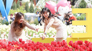 “4년만에 돌아온 꽃의 축제, 고양으로 오세요”