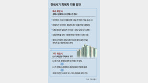 정부 ‘전세사기 특별법’ 발의… 피해자 경매자금 전액 대출