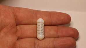 “잃어버린 입맛 찾아드려요”… 식욕 개선하는 ‘전기알약’ 등장