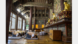 별 쏟아지는 천년고찰서 차담… 산책길엔 쉼표 하나