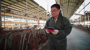 [농업이 IT(잇)다] 팜프로 “소 질병·출산 관리해 스마트 축산 선도국으로”