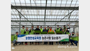 범농협 임직원, 농번기 맞아 전국 농업현장 찾아 일손돕기