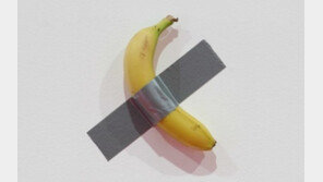 1.5억원짜리 카텔란 ‘바나나’, 드디어 먹혔다…리움 “새 바나나로 교체”