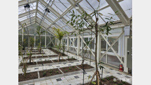 300여 종 의약품 재료 한 눈에 본다… 식약처,  복합문화공간 ‘생약누리’ 개관