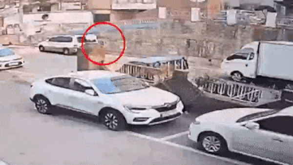 스쿨존 초등생 절뚝이는데…멈춰있다 가버린 차주 “몰랐다”?