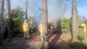 제주 서건도서 몰래 캠핑하던 남녀, 소나무 10그루 태웠다