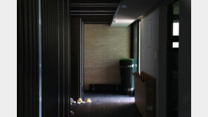 [단독]“주가조작단, 10배 불려준다며 강남 빌딩소유 연예인도 접촉”