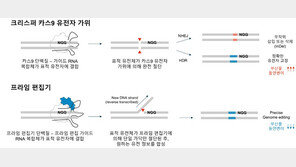 “맞춤형 유전자치료제 나올까”…韓 연구진, 차세대 유전자 가위 AI로 설계