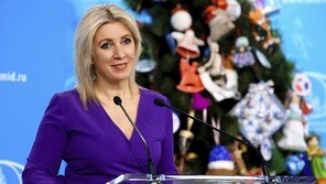 러 “워싱턴 선언, 국제정세에 부정적 결과 초래할 것”