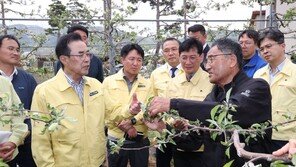 이성희 농협중앙회장, 냉해피해 농업현장 방문