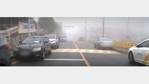 어린이 사망사고 다음날에도…스쿨존 점령한 ‘불법 주차’ 차량들