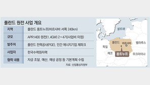 웨스팅하우스 CEO “韓원전, 폴란드에 지어질 일 없다”…한수원 즉각 반박