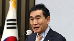 ‘잇단 실언’ 논란 태영호, 반성 없어… ‘4·3사건·김구 역사관 변함 없다“