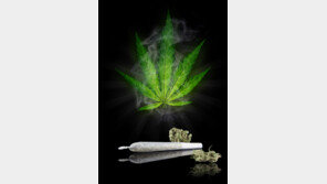 데이트폭력 신고한 여성 집에서 마약 발견…현행범 체포