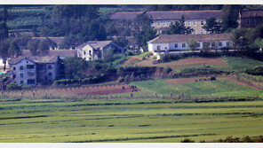 북한 식량난 심해졌나…1~3월 수입한 중국 쌀 지난해 1년치보다 많아