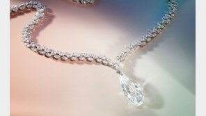 ‘나치 부역자의 보석’ 2000억원 어치 경매 나온다