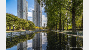 DL이앤씨, ‘봄봄 서울숲 축제’ 맞춰 피크닉 이벤트 실시