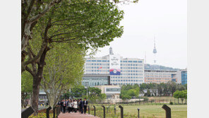 ‘대통령실이 한눈에’…개방 앞둔 ‘용산어린이정원’ 가보니