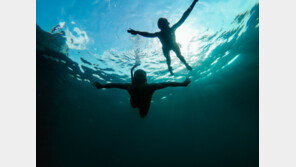 필리핀 보홀서 다이빙 체험하던 40대 한국인 행방불명