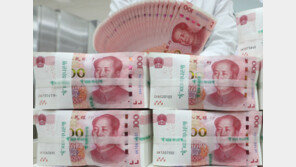 러시아, 매달 2억弗 규모 위안화 산다…외환보유고 재구축