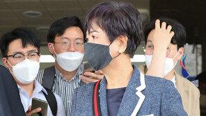 손혜원, 조선일보 상대 ‘목포 발언’ 정정보도청구 2심도 패소