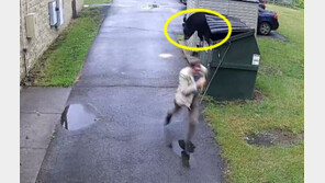 학교 쓰레기통 열자 곰 ‘불쑥’…놀라 달아난 교장 선생님