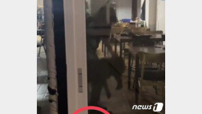“술 먹고 이성 잃었다” 반려견 내동댕이 친 식당 주인 송치