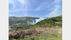 영월 예밀리서 산불…헬기 4대 투입해 진화중