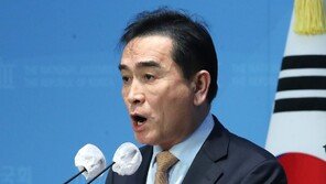 태영호, ‘녹취 파문·후원금 의혹’ 부인…“법적 책임 물을것”