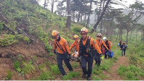남원서 고사리 채취나선 80대 4m 아래로 추락…의식불명