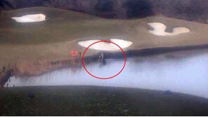 골프장서 잠수복 입고 연못 ‘풍덩’…골프공 15만개 ‘싹쓸이’