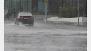 오후까지 흐리고 비… 서울 13~16도, 부산 16~17도