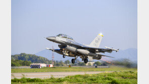 미군 F-16전투기 평택 논에 추락…조종사 탈출