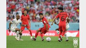 정우영 교체로 뛴 독일 프로축구 프라이부르크 0-1 패배