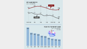 물가 조사 458개중 384개 품목 1년새 값 뛰었다