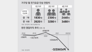 전기료, 가구당 월 2400원 오를듯…한전 적자해소엔 역부족