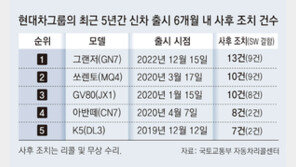 출시 5개월 그랜저 13번째 사후조치… 9번이 SW 관련