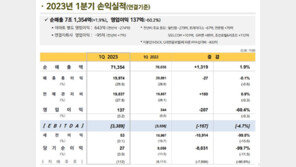 “사람들이 마트에 안 간다”… 이마트, 1분기 영업益 60% 급감