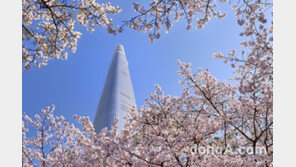 롯데免, 실적 정상화 드라이브… 1분기 영업익 358억 원 ‘흑자 전환’